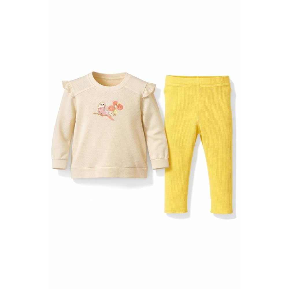 DbMoon 1049 Bird 2li Takım