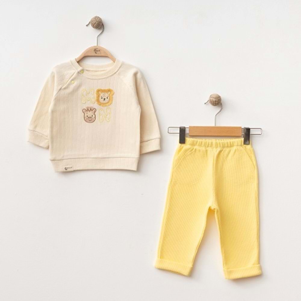 DbMoon 1053 Lion 2'li Takım