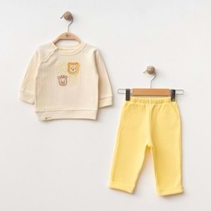 DbMoon 1053 Lion 2'li Takım