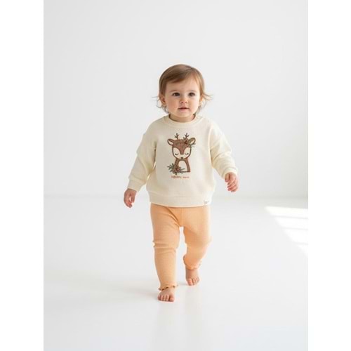 DbMoon 1058 Gazelle 2li Takım